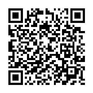 他们培养出了北极狼牙这样的高手和无数的超级高手二维码生成