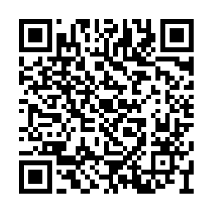 他们如今的做法跟三万年前的大衍关的人族一样二维码生成
