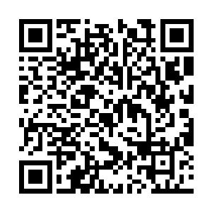 他们就会有自己最终也被一样当成野草践踏的下场二维码生成