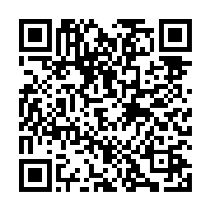 他们并没有那么多时间去完成这个凝聚生命之核的过程二维码生成