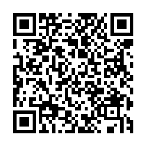 他们果然是利用了某种大型的设备完成所有人的能量种植工作二维码生成