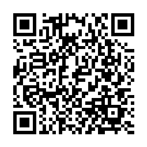 他们每一头的战斗力和防御力也都不是普通人可以想象的二维码生成