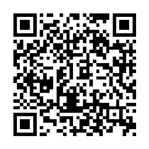 他们现在已经彻底失去了和雷天继续战斗的勇气二维码生成
