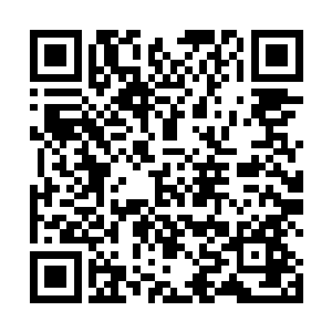 他们现在被世界树叶子带着飞行在一片苍翠的森林上空二维码生成
