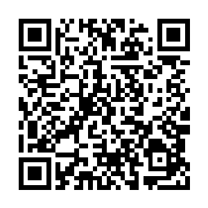 他们的教导再加上季疏云对自己地狱一般的训练二维码生成