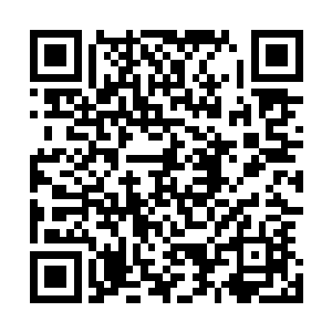 他们肯定是把攻打其他宗门的高手都偷偷的调集到了兰晨宗二维码生成