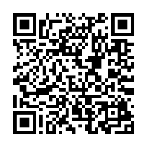 他们计划的关键就是短时间内能够大量生产长生素二维码生成