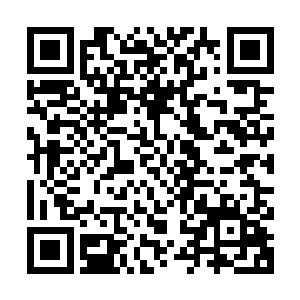 他们轻松自如的谈吐让人完全能感受到他们之间稳定的感情关系二维码生成