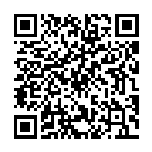 他们还真没把握能挡住这些南人不要冲杀到银术可马前二维码生成