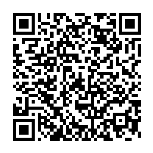 他们这一次可不仅仅抓来和骗来的大批黑魔兵当启动社稷图的能量二维码生成