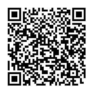 他们这种队伍虽然说不像宗派那样有那么多的规矩和条条框框的束缚二维码生成