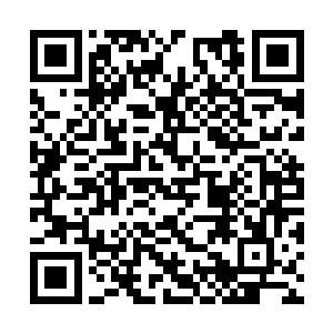 他们都以为许紫烟会带领着他们前往南方开宗立派二维码生成
