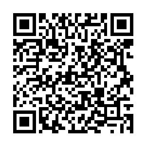 他们需要用一战来衡量自己应该得到的位置和利益二维码生成