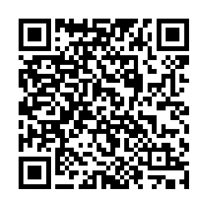 他分明从帝王状似无心的举动中察觉到了温柔的爱意二维码生成