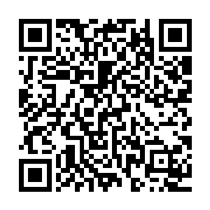 他刚在守城宫门口众目睽睽之下遭人刺杀…我知道你一向仇视他二维码生成
