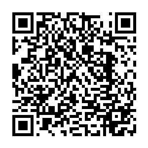他刚才这番话清楚告诉王司令员给王老进行针灸治疗的这位年轻医生别说中医二维码生成