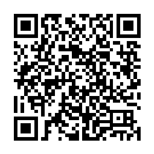 他利用投影之枪发出的全力一击也没能真正摧毁爱丽丝二维码生成