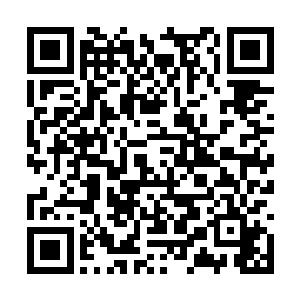 他压根就没感觉到对方有施展什么秘术神通的痕迹二维码生成