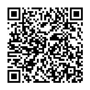 他告诉我他是被一个法国女人害死的……还让我告诉墨博士……怎么办二维码生成