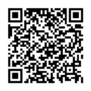 他和朱国旭之间并没有签署过任何约束性的合同二维码生成