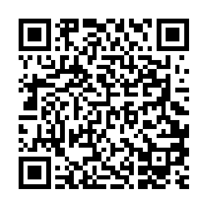 他唯一一个保住我不被别人抢走的办法就是将我带到千翅一族去二维码生成