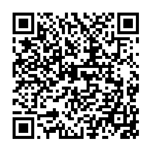 他岂不是要在寒冰洞窟里面好像无头苍蝇一样撞上几个月甚至几年之后二维码生成