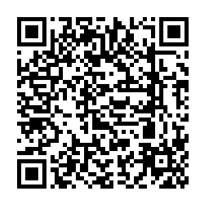 他带着严一严二随兵部派出的一支队伍押着十几大车的粮食从京城出发二维码生成
