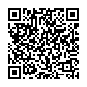 他把刚刚憋着的火气全部用在对道格的冷嘲热讽上了二维码生成