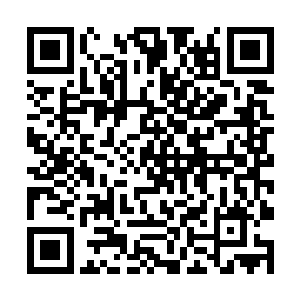 他曾经在路边一种叫狗的宠物脖子上发现过这种铁牌二维码生成