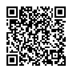 他有什么证据证明江家参与或者直接谋划了绑架陆朝歌事件二维码生成