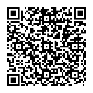 他此刻已经靠近了冰龙巢穴附近了……直接对着脚下的一块冰元素本源的晶体神兽了二维码生成