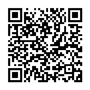 他洒出的这些东西和浩瀚的迷乱星海比较起来实在是微不足道二维码生成