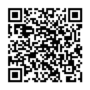 他现在将昨晚枪击事件的所有责任都推到了纪委的头上二维码生成