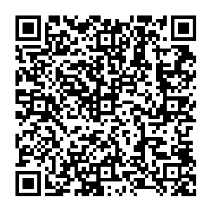 他甚至不清楚那个像是被自己抢走了女人似的法国男人发了疯一般的一次又一次对他举起警棍的警察名字二维码生成