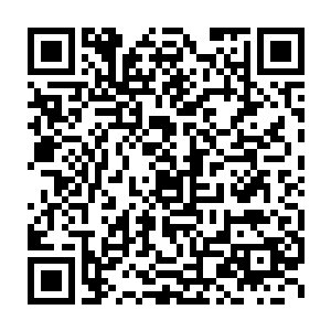 他的脑海中突然回忆起之前在那座宫殿里面所见到的那张诡异画卷二维码生成