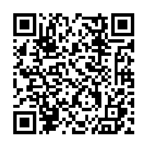 他看见一枚赤红色的木丸已经来到了自己眼前……二维码生成