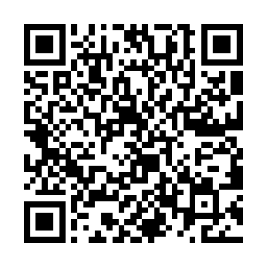 他虽然并不清楚小金如今到底达到了什么样的境界了二维码生成