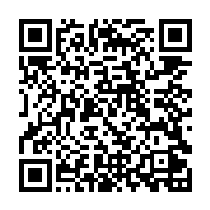 他被安排到队伍的最后方不是代表他跟长老们关系好二维码生成