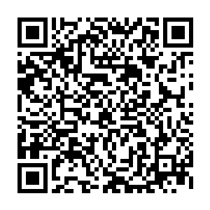 他还以为是这血柱的力量在经过他血掌和血墙的层层阻碍之后被削弱了很多二维码生成