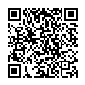 他还是第一次在李二娃的身上感觉到这么强大的怨气二维码生成