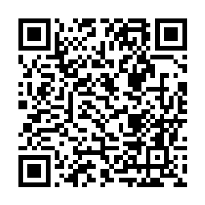 代表着他们的利益肯定还会再次被挤占掉很大的一块二维码生成
