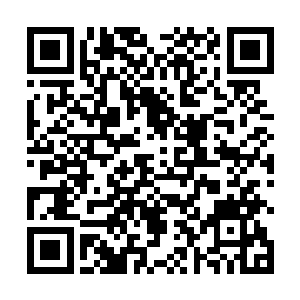 以及和其他星辰战队之间的比斗胜率等一系列复杂条件二维码生成