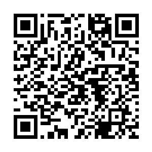 以及开打之前淡定从容的说了一句话把意大利指挥吓得说错话二维码生成