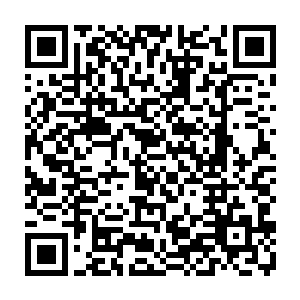 以及念念手中莫名其妙的又多出了五个毒性症状不同程度的红色瓶子之外二维码生成