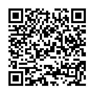 以及缠绕在恶魔之门上的白色巨蟒也迅速融合在了一起二维码生成