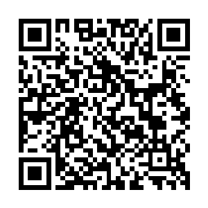 以后王族领地的人恐怕也不敢随随便便就派人去天阵大陆杀人了二维码生成