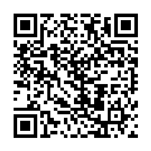 以后还有大把的时间让她穿梭在这片广袤无垠的土地上寻宝二维码生成