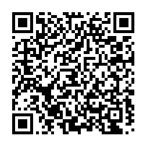 以数百万魔族的性命转化而来的仙元就这样在众人不舍的目光中结束二维码生成