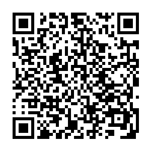 以杨公的眼界也许能够比自己猜测出更多的和希望之火有关系的线索二维码生成
