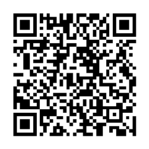 以至于皇上在他们大婚后短短几日便又下了休书的旨意二维码生成